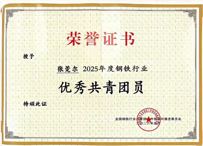 杭鋼集團在全國鋼鐵行業共青團工作會上獲多項榮譽